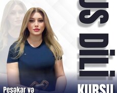 Sistemli təlim