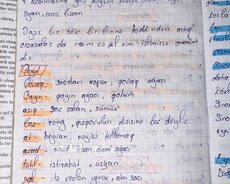 Azərbaycan dili və ədəbiyyat hazırlığı