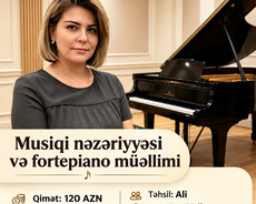 25 illik təcrübəli universitet müəllimi