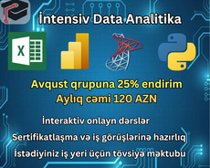 Intensiv Data Analitika