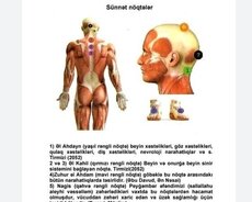 Hicama və Hirudoterapiya kursu