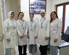 medsestraliq kursu